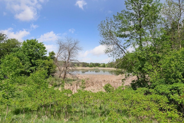 981 Peninsula Point Rd, Shakopee, MN 55379