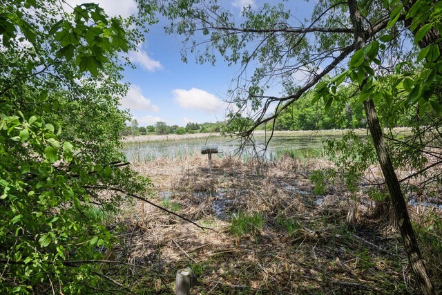 981 Peninsula Point Rd, Shakopee, MN 55379
