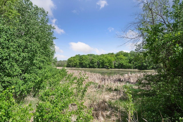 981 Peninsula Point Rd, Shakopee, MN 55379