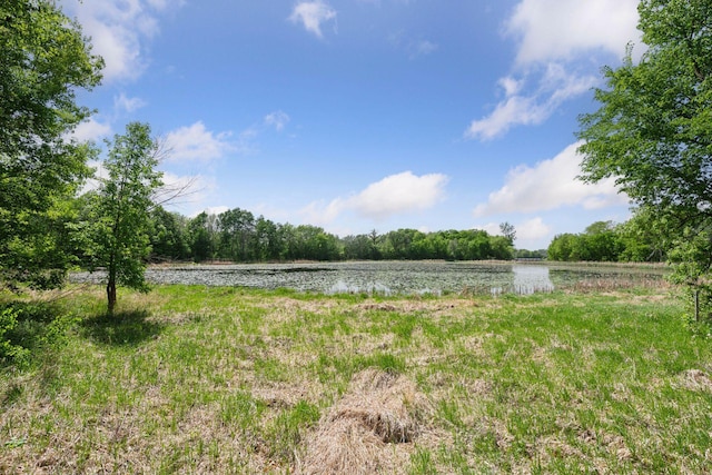 981 Peninsula Point Rd, Shakopee, MN 55379