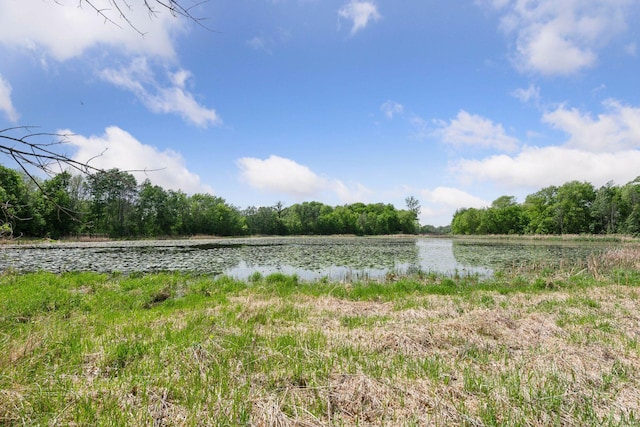 981 Peninsula Point Rd, Shakopee, MN 55379