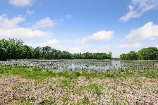 981 Peninsula Point Rd, Shakopee, MN 55379