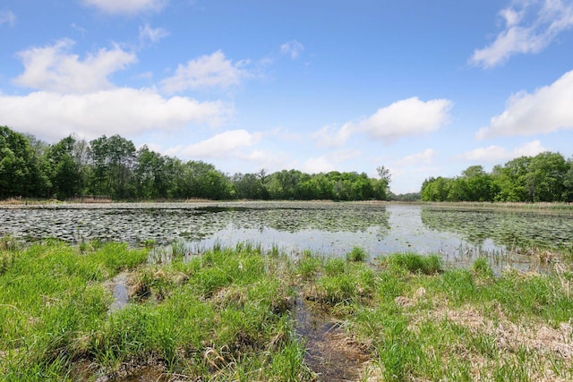 981 Peninsula Point Rd, Shakopee, MN 55379