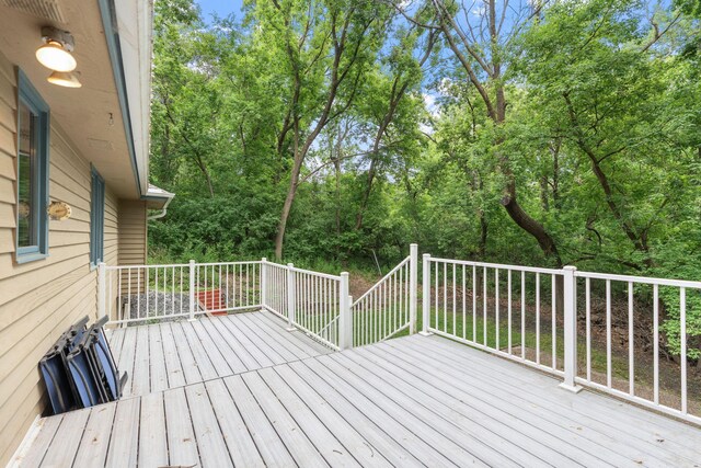 1527 Clarendon Dr, Minnetonka, MN 55391 - photo 17