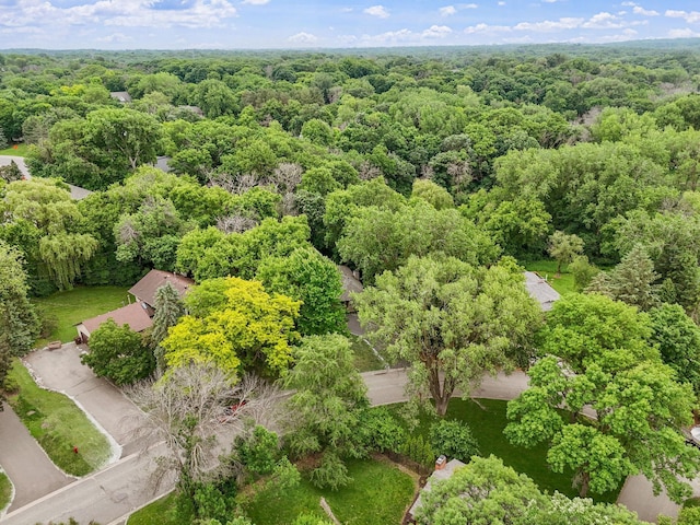 1527 Clarendon Dr, Minnetonka, MN 55391 - photo 53