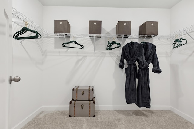 7592 106th St S, Cottage Grove, MN 55016 - walk in closet featuring carpet