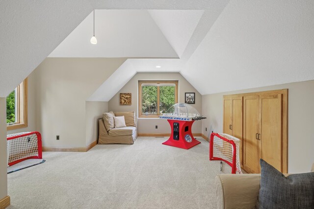 115 Wildwood Beach Rd, Mahtomedi, MN 55115 - photo 67