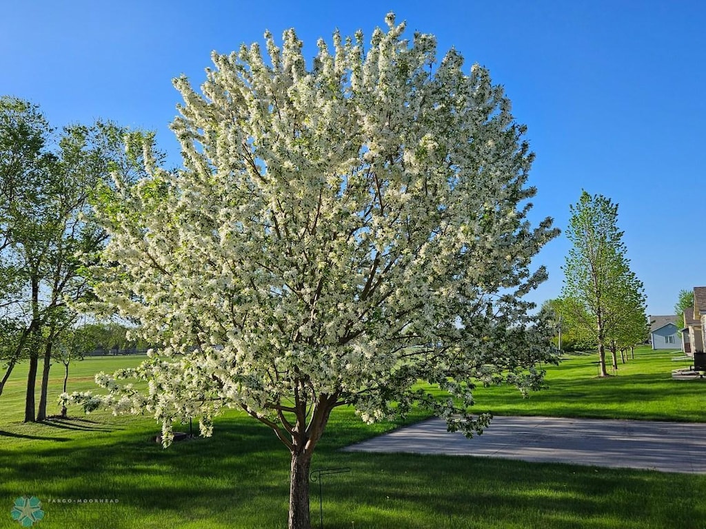 639 2nd St NW, Dilworth, MN 56529 - view of home's community with a yard