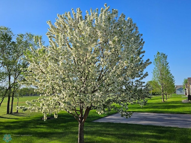 639 2nd St NW, Dilworth, MN 56529 - view of home's community with a yard