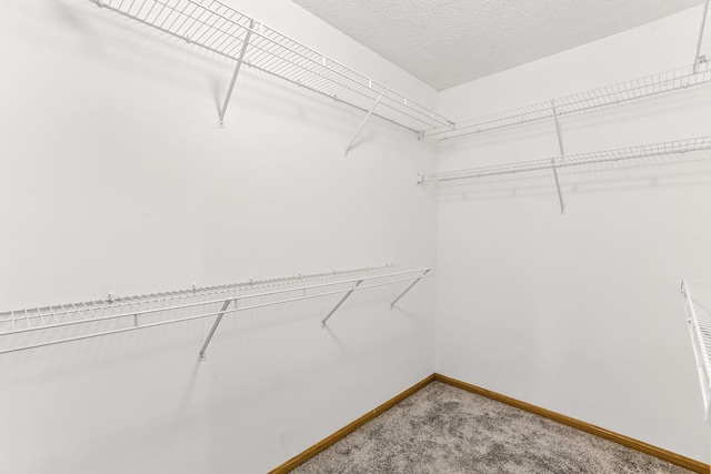 10938 181st Ln NW, Elk River, MN 55330 - walk in closet with light colored carpet