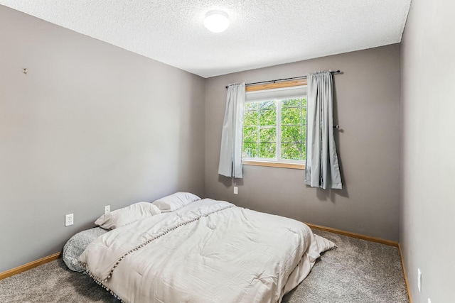 10938 181st Ln NW, Elk River, MN 55330 - carpeted bedroom with a textured ceiling and baseboards