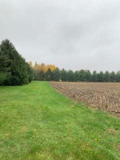 TBD Harrison Ave NE, Racine, MN 55967
