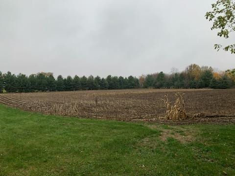 TBD Harrison Ave NE, Racine, MN 55967