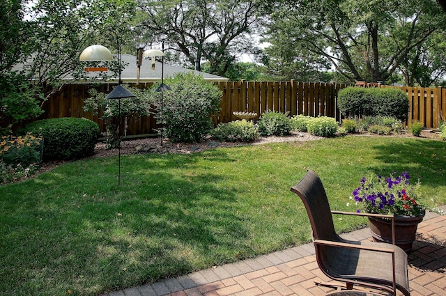 view of yard with a patio