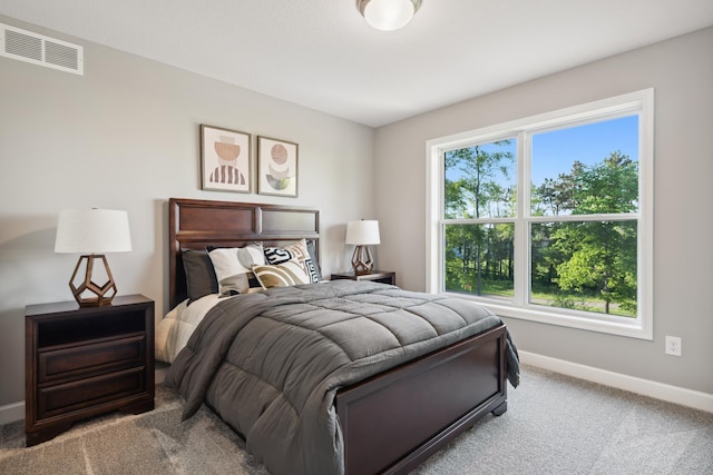 1684 Upper 143rd St E, Rosemount, MN 55068 - bedroom with baseboards and carpet