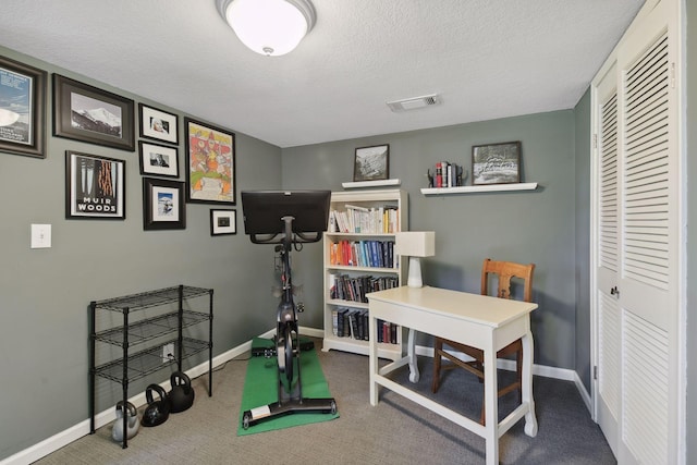 5240 Birch Rd, Minnetonka, MN 55345 - home office featuring a textured ceiling, carpet floors, and baseboards
