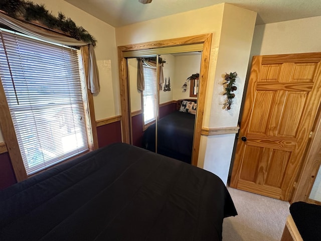 310 7th Ave NE, Roseau, MN 56751 - bedroom featuring light colored carpet, multiple windows, and a closet
