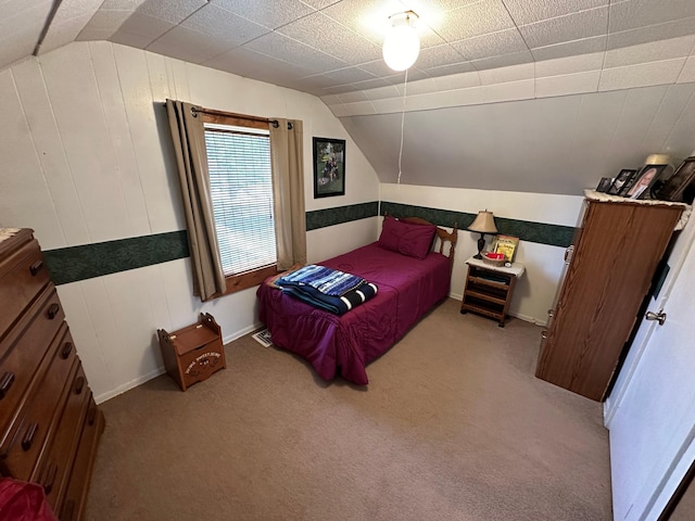 310 7th Ave NE, Roseau, MN 56751 - bedroom with lofted ceiling and light colored carpet