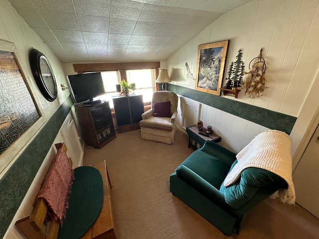 310 7th Ave NE, Roseau, MN 56751 - living area featuring carpet floors