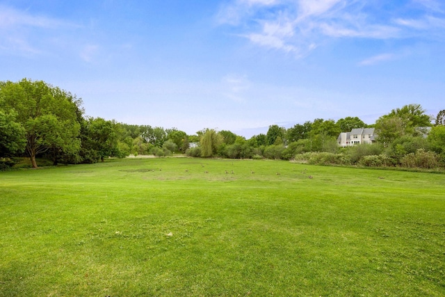 4277 Oakmede Ln Unit 62C, White Bear Twp, MN 55110 - view of green lawn