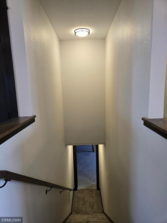 320 Gloria Dr, Green Isle, MN 55338 - stairs with carpet floors and a textured wall