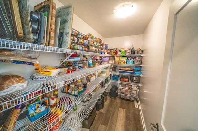 1004 Blanch Ct, Mantorville, MN 55955 - view of pantry