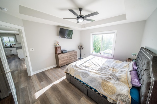 1004 Blanch Ct, Mantorville, MN 55955 - bedroom featuring a raised ceiling, wood finished floors, baseboards, and a sink