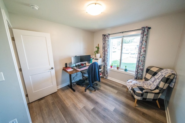 1004 Blanch Ct, Mantorville, MN 55955 - office space with wood finished floors and baseboards
