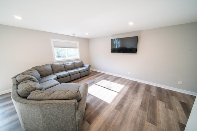 1004 Blanch Ct, Mantorville, MN 55955 - living area featuring wood finished floors, baseboards, and recessed lighting