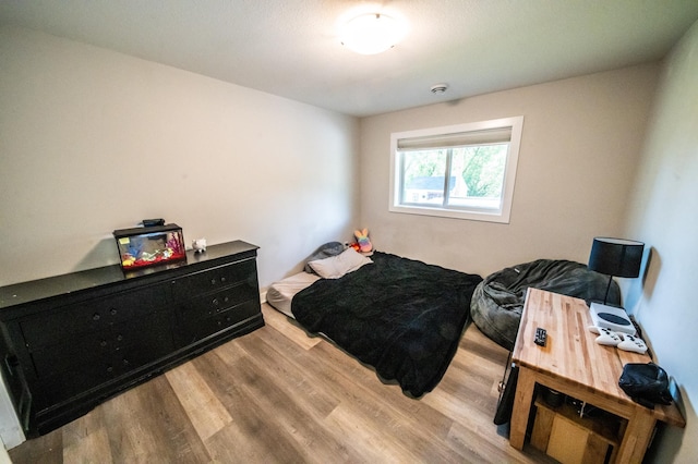 1004 Blanch Ct, Mantorville, MN 55955 - bedroom with wood finished floors