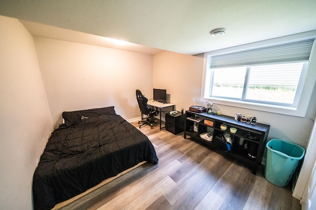 1004 Blanch Ct, Mantorville, MN 55955 - bedroom with wood finished floors