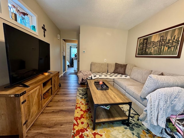 2728 Pine Ave, Slayton, MN 56172 - living room with wood finished floors and a textured ceiling