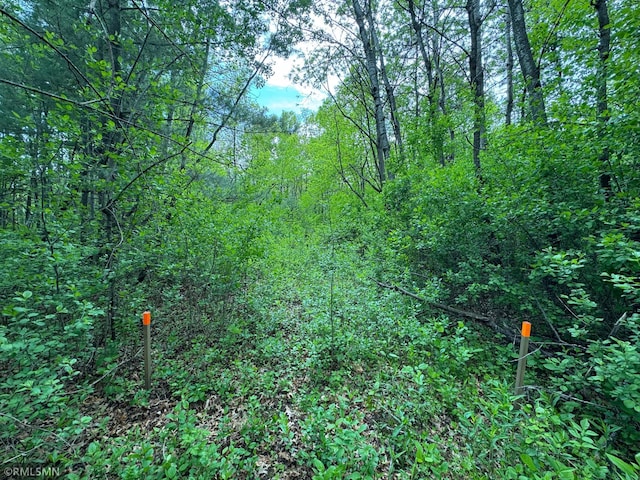 TBD Walnut St S, Mora, MN 55051