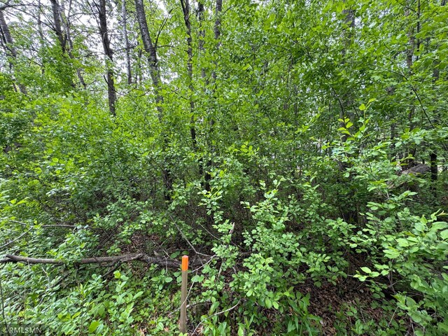 TBD Walnut St S, Mora, MN 55051