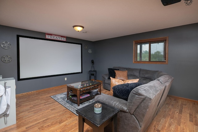 907 Rodeo Dr SE, Pine Island, MN 55963 - cinema featuring light wood finished floors