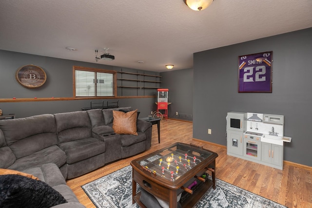907 Rodeo Dr SE, Pine Island, MN 55963 - living room featuring light wood-style flooring, a textured ceiling, and baseboards