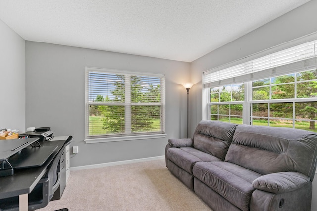 27385 Millicent Ln, Chisago Lake Twp, MN 55013 - living room featuring plenty of natural light, light colored carpet, baseboards, and a textured ceiling