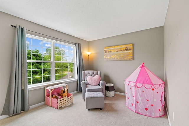 27385 Millicent Ln, Chisago Lake Twp, MN 55013 - rec room with carpet, baseboards, and a textured ceiling