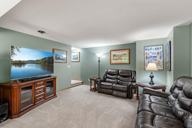 500 Mackubin Cir, Shoreview, MN 55126 - living room with carpet, a textured ceiling, and baseboards