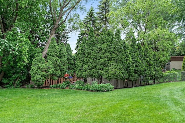 500 Mackubin Cir, Shoreview, MN 55126 - view of yard