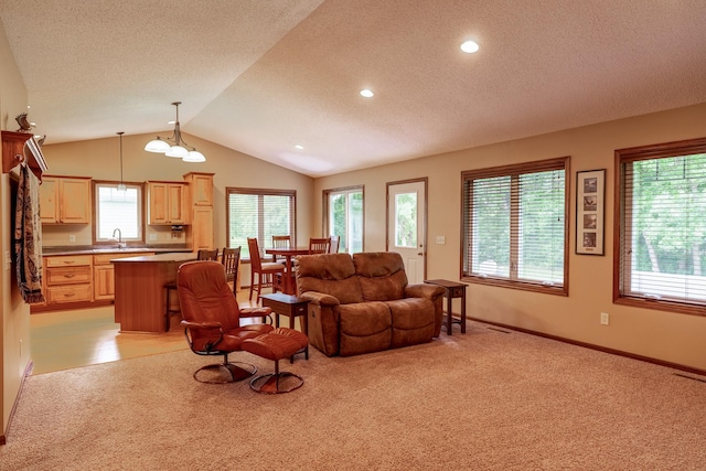 225 Pinehurst Dr, Mankato, MN 56001 - photo 12