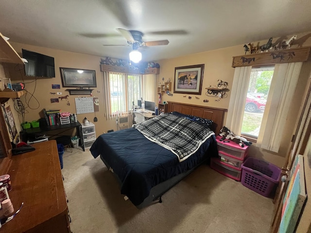 930 Woodland Cir, Long Prairie, MN 56347 - photo 16