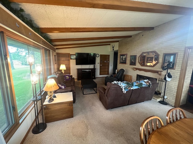 930 Woodland Cir, Long Prairie, MN 56347 - photo 23