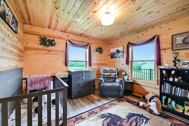 39057 Variolite St NW, Dalbo Twp, MN 55017 - photo 8
