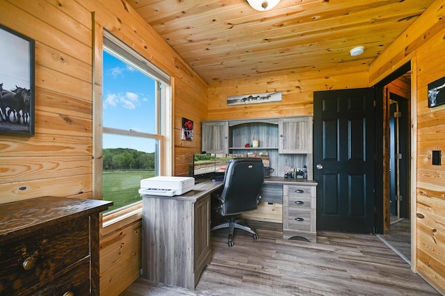 39057 Variolite St NW, Dalbo Twp, MN 55017 - photo 9