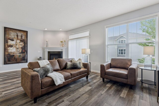 9675 Toledo Ln N, Brooklyn Park, MN 55443 - living area with wood finished floors, a glass covered fireplace, recessed lighting, and baseboards