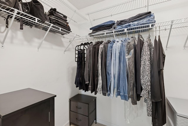 9675 Toledo Ln N, Brooklyn Park, MN 55443 - view of walk in closet
