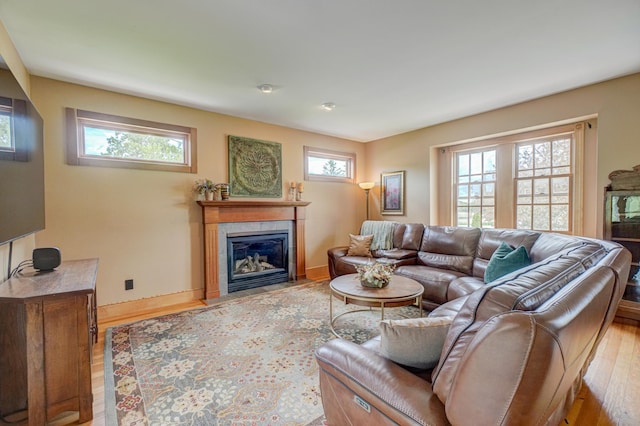 8632 Neal Ave S, Denmark Twp, MN 55033 - living area featuring light wood finished floors, a fireplace with flush hearth, and baseboards