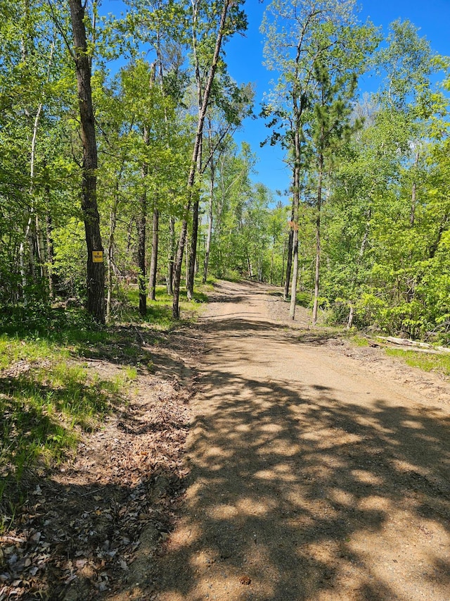 8366 Hidden Creek Ct, Pequot Lakes, MN 56472