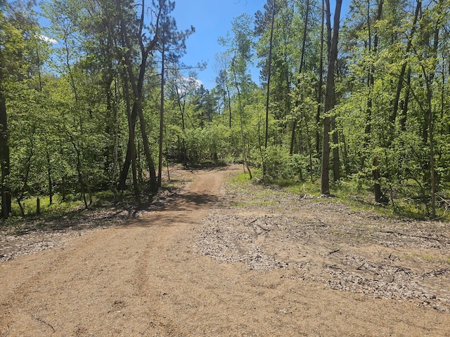 8366 Hidden Creek Ct, Pequot Lakes, MN 56472